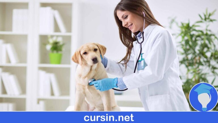 Veterinaria Archivos Cursin