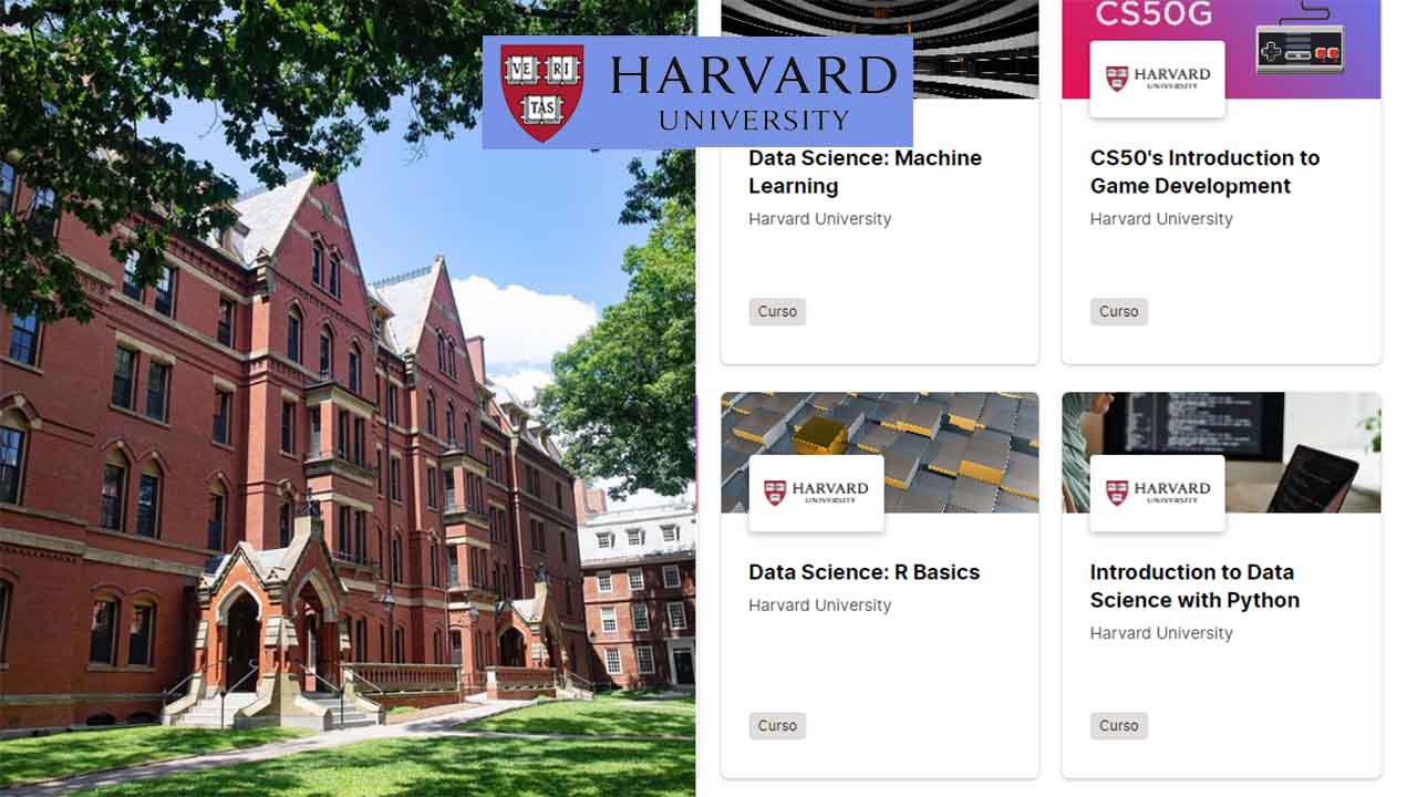 ¿Cómo Acceder A Los Más De 100 Cursos Gratis En Línea De Harvard?