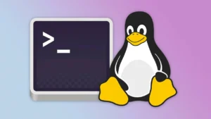 Curso gratuito de Linux para desarrolladores de Linux Foundation en Coursera - Cursin